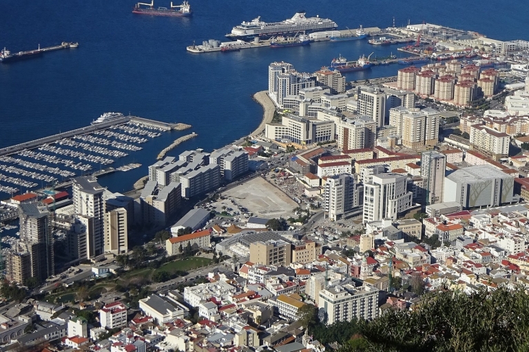 Z Costa del Sol: Gibraltar z obserwacją delfinów łodziąZ Estepona Hotel & Spa Resort