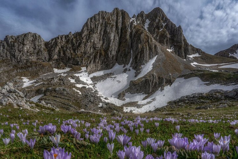 Jezioro Smocze: Wycieczka trekkingowa z przewodnikiemTrekking po Smoczym Jeziorze