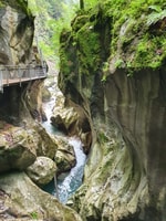 来自苏黎世，瀑布山谷和阿雷斯卢赫特峡谷日之旅 - Housity