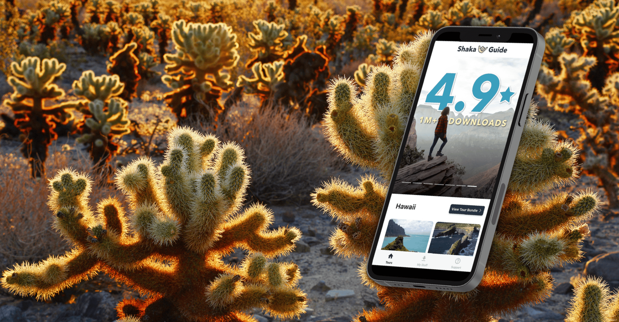 Joshua Tree National Park, Self-Guided GPS Audio Tour - Housity