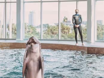 Clearwater: Eco-Certified Marine Aquarium General Admission
