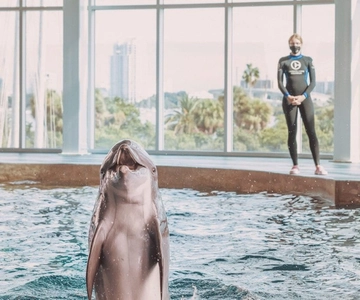 Eco-Certified Marine Aquarium General Admission