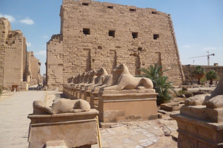 Private Ganztagestour zum Ost- und Westufer von Luxor und zur Feluke