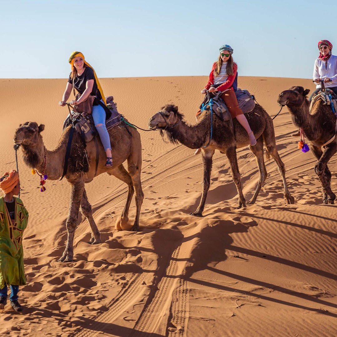 Au départ de Fès : Circuit de 2 jours dans le désert vers Marrakech via Merzouga - dromadaire