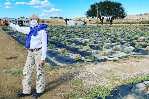 Sacramento: Excursión a la Granja del Valle de Capay con Comida y Vino