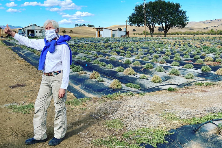 Sacramento: Excursión a la Granja del Valle de Capay con Comida y Vino