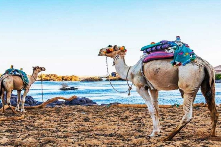 Asuán: Excursión de un día a un pueblo nubio con paseo en camello