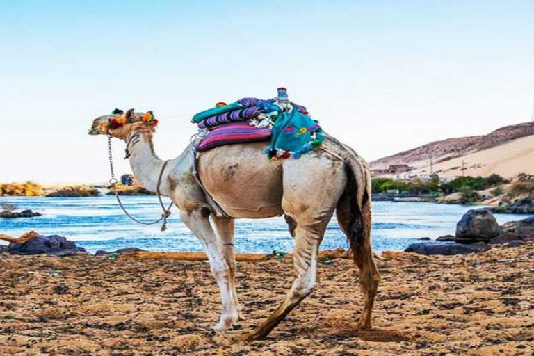 Aswan: dagtocht in Nubisch dorp met kameeltocht