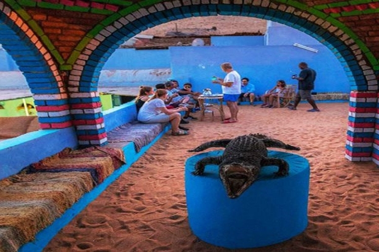 Assouan : Excursion d'une journée dans un village nubien avec visite à dos de chameau