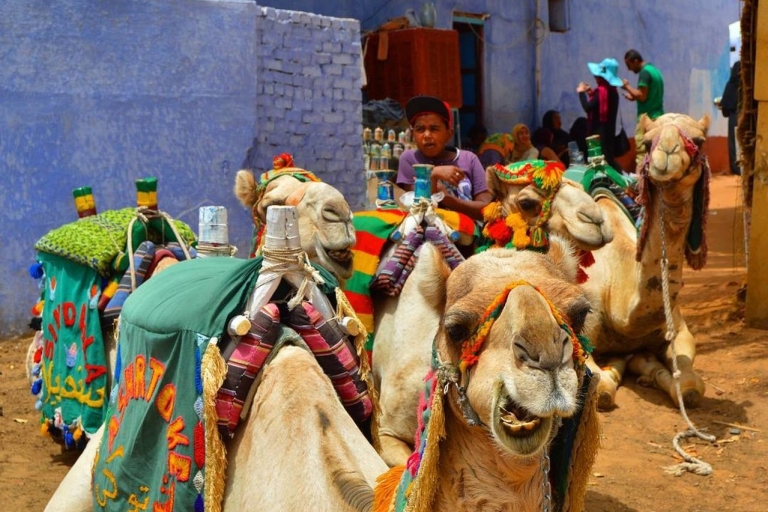 Asuán: Excursión de un día a un pueblo nubio con paseo en camello