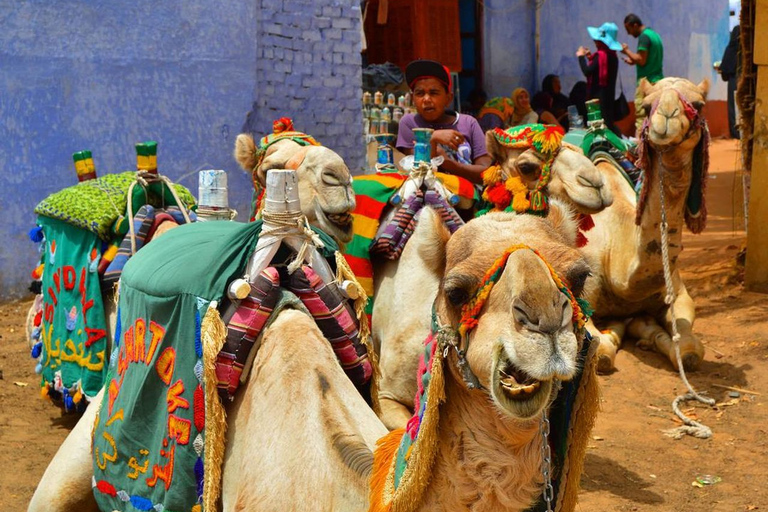 Assouan : Excursion d'une journée dans un village nubien avec visite à dos de chameau