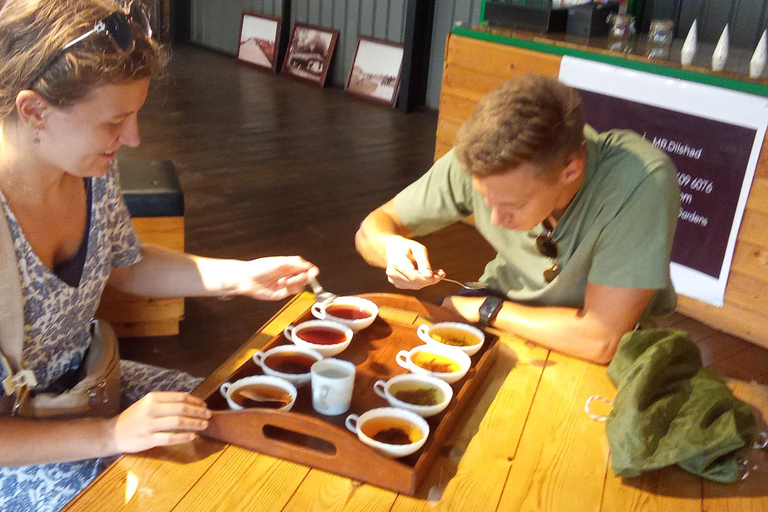 Kandy to Sigiriya Day Tour