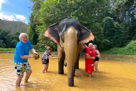 Khao Lak: Asilo privato per elefanti di Khao Sok e rafting in bambù