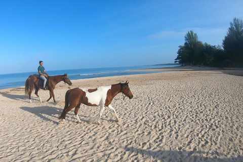 Phuket: Bang Tao Beach Sunset Horse Riding Experience Phuket: 30 Minutes Bang Tao Beach Sunset Horse Ride