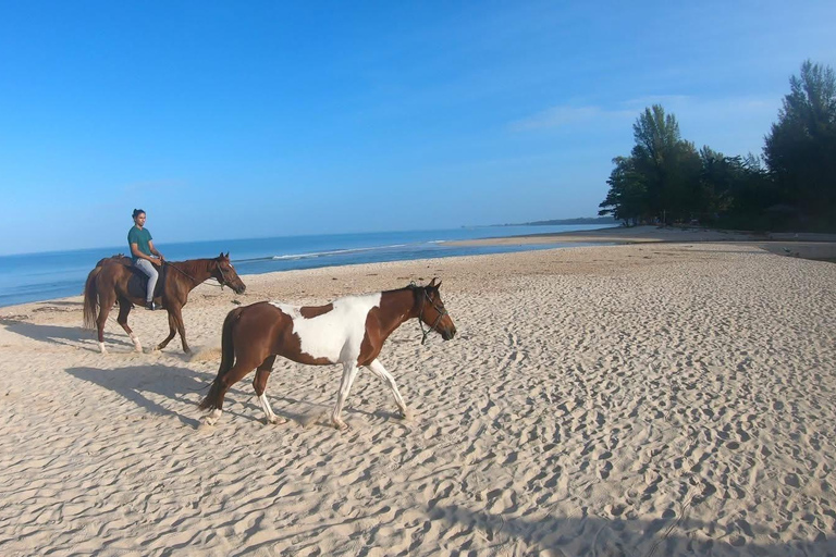 Phuket: Bang Tao Beach Sunset Horse Riding Experience Phuket: 30 Minutes Bang Tao Beach Sunset Horse Ride