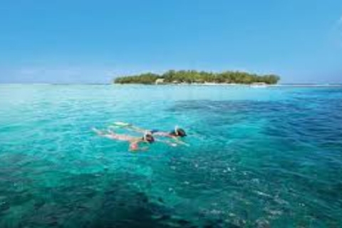 L'île des Deux Cocos en visite libre