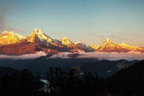 From Pokhara: 7-Day 6-Night Scenic Annapurna Base Camp Trek