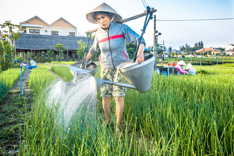 Da Hoi An: Tour di mezza giornata in bicicletta del villaggio vegetale di Tra QueGiro di gruppo