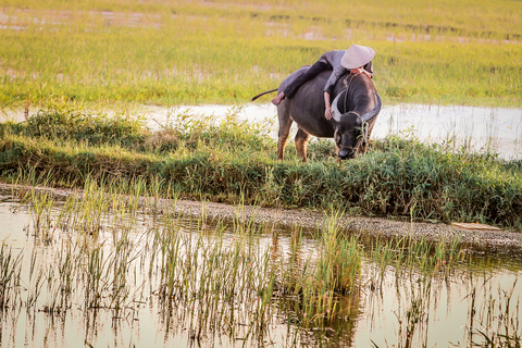 Da Hoi An: Tour di mezza giornata in bicicletta del villaggio vegetale di Tra QueGiro di gruppo