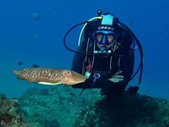 Puerto Del Carmen: Try Scuba Diving with 2 Dives and Photos