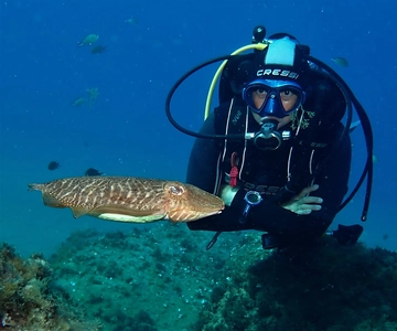 Puerto Del Carmen: Try Scuba Diving with 2 Dives and Photos