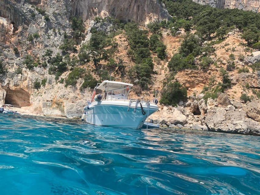 De Cala Gonone Excursion En Bateau Rapide Dans Le Golfe Dorosei Et