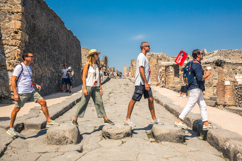 Desde Nápoles o Sorrento: tour de Pompeya y el monte VesubioDesde Sorrento: tour grupal en inglés sin almuerzo