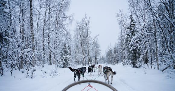 Levi: Self-Drive Guided Husky Tour