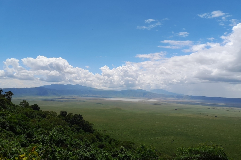 Desde Arusha: Excursión de un día al cráter del Ngorongoro