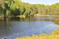 Usedom, Nature Park Tour - Housity