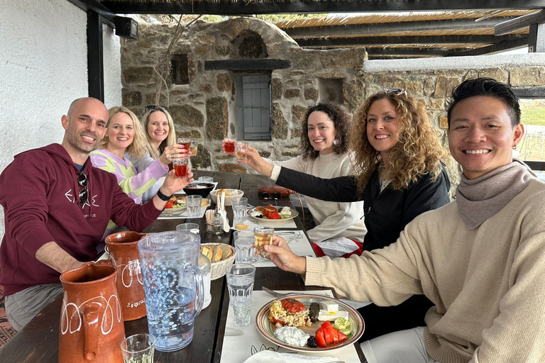 Tour dei punti salienti di Mykonos in jeep