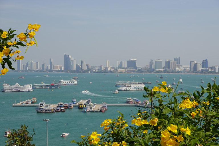 Pattaya: Hoogtepunten Tour met proeverij en heiligdom van de waarheid