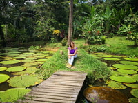 From Leticia, Amazon & Tarapoto Lake Private Overnight Tour - Housity
