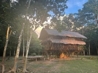 From Leticia, Amazon & Tarapoto Lake Private Overnight Tour - Housity