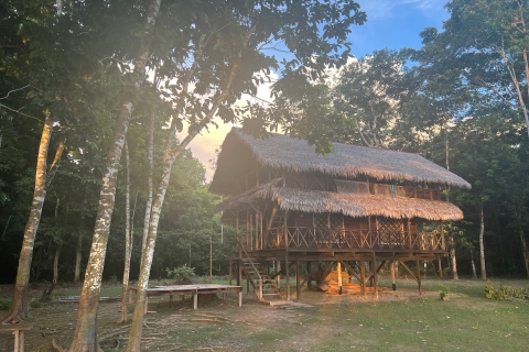 Van Leticia: Amazon Jungle Overnachting bij Tarapoto Lake Tour