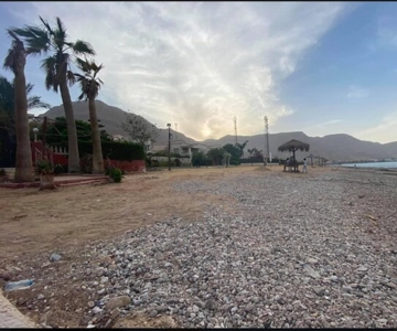 From Cairo: Red Sea Al-Ain Sokhna Private Full-Day Tour