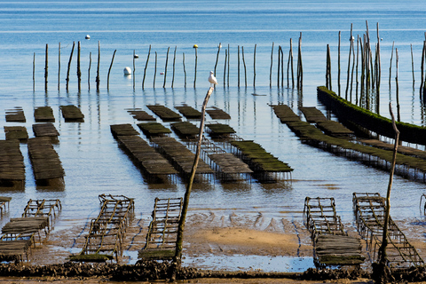 From Bordeaux: Arcachon and Pilat Dune Private Tour Private tour to Arcachon and Pyla dune