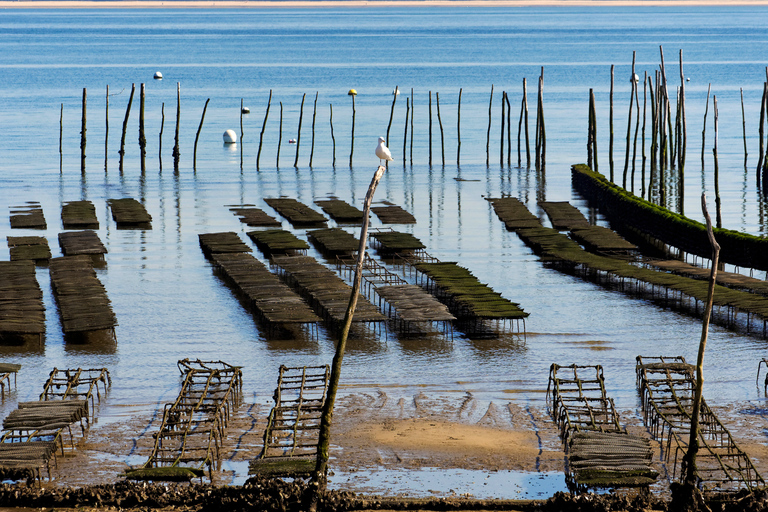 From Bordeaux: Arcachon and Pilat Dune Private Tour Private tour to Arcachon and Pyla dune