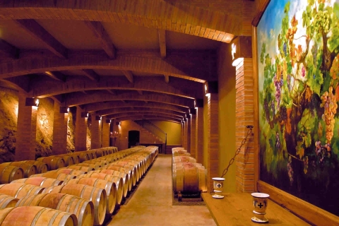 Wijn privétour in de wijngaard van Santa CruzLaag seizoen