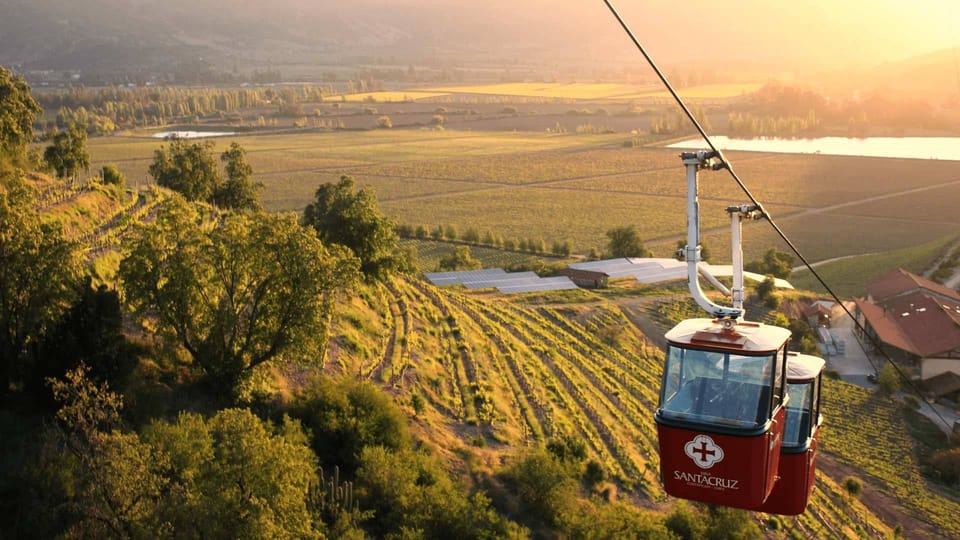 From Santiago Private Wine Tour in the Colchagua Valley