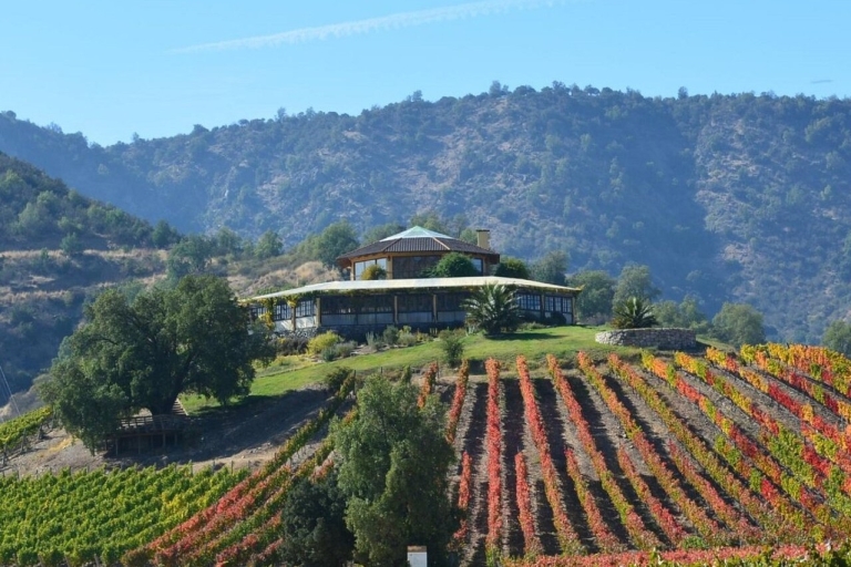 Wijn privétour in de wijngaard van Santa Cruz