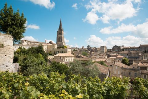 Desde Burdeos: tour medio día a Saint-Émilion y cata de vino