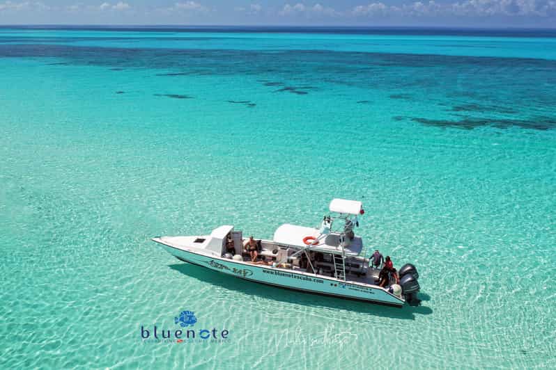 2 Tank Morning Cozumel Dives for Certified Divers | GetYourGuide