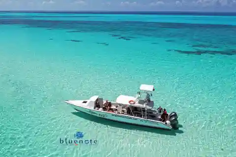 2 Tank Morning Cozumel Dives for Certified Divers