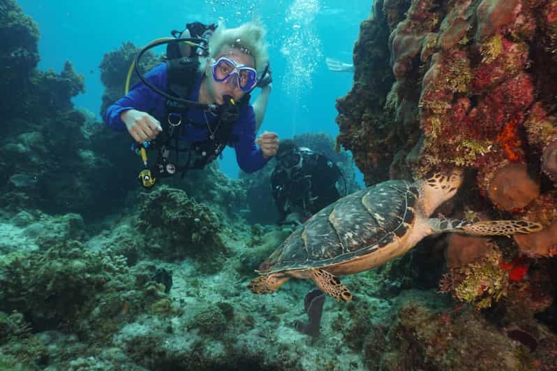 2 Tank Morning Cozumel Dives for Certified Divers | GetYourGuide