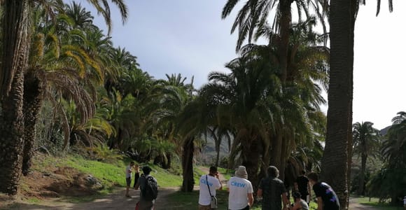 Gran Canaria: Camel Ride at Camel Safari Park