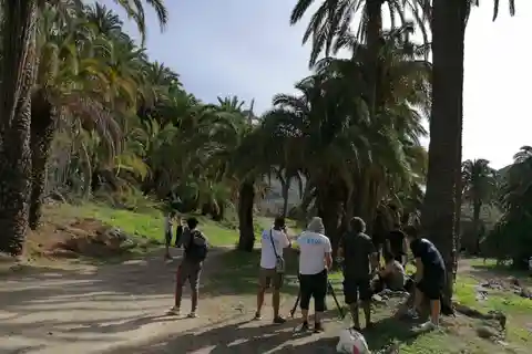 Gran Canaria: Kamelritt im Camel Safari Park