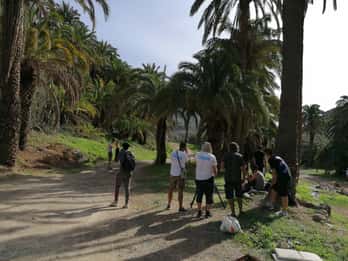 Gran Canaria: Kamelritt im Camel Safari Park