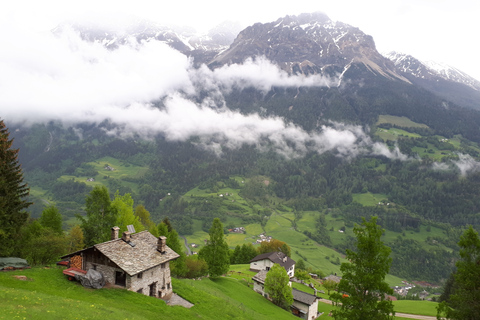 Depuis Milan : Le train de la Bernina, les Alpes suisses et l'excursion à Saint-Moritz