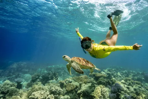Cape Tribulation Ocean Safari - Great Barrier Reef Adventure